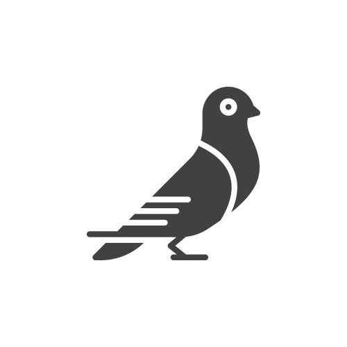 Google Pigeon Update SEO